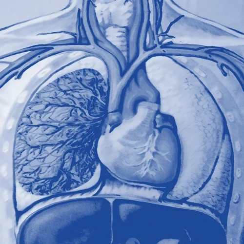 Eine Wissenschaftlerin und ein Wissenschaftler arbeiten hinter einer Glasfassade und mischen Chemikalien mit Großgeräten.